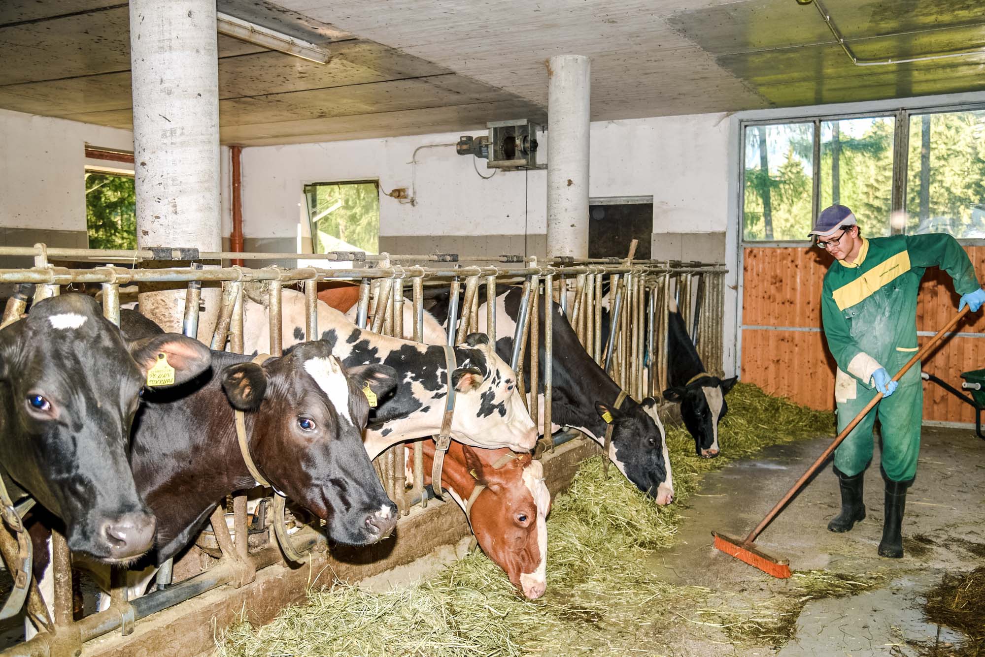 On our farm there is a lot for young and old to discover and explore. 


We offer our guests guided tours (with a little surprise) to get great insights into rural life.